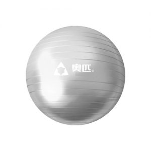 Gym Ball China  55CM ASH
