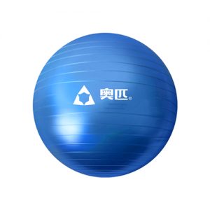 Gym Ball China 75CM Blue