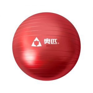 Gym Ball China  65CM Red